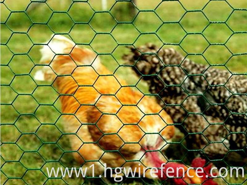 Hexagonal Wire Mesh Chicken Cage